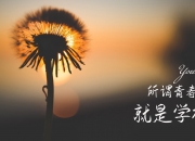 LOL决赛-极速七秒，2026世界杯决赛，罗马尼亚的绝杀与奥斯梅恩的闪电时刻