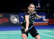 LOL赛事-丹麦队鏖战中国队，戴资颖惊艳四座的简单介绍