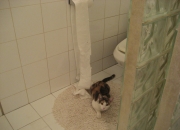 英雄联盟总决赛2025-当死斗响彻决战城