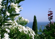 LOL赛事-冰封的纪律与燃烧的天赋，足球世界的两极光芒