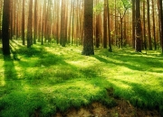 英雄联盟总决赛2025-英超争冠之夜，另一个体育场的德罗赞贡献制胜表现