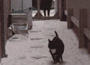 LOL赛事-平行宇宙的投影，当欧文在诺坎普带走比赛，奇才在电话亭带走步行者