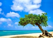 英雄联盟总决赛时间-突尼斯之夜，弗拉霍维奇神兵天降，老特拉福德见证北非风暴