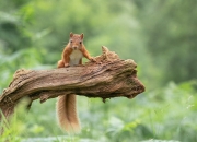 英雄联盟总决赛门票-足球革命与篮球神话，当体系击败豪门，个人统治舞台