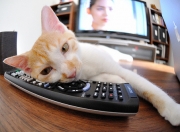 英雄联盟总决赛门票-绝境之光，布雷默的钢铁意志，铸就挪威翻盘加纳的唯一路径