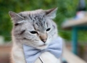 英雄联盟总决赛赛程-同一天空下，从贝林厄姆到拉齐奥，足球多元宇宙中的唯一性解