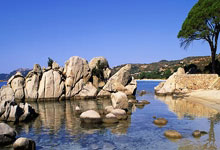 英雄联盟总决赛时间-一波带走，从威斯特法伦到斯台普斯，体育世界最危险的节奏