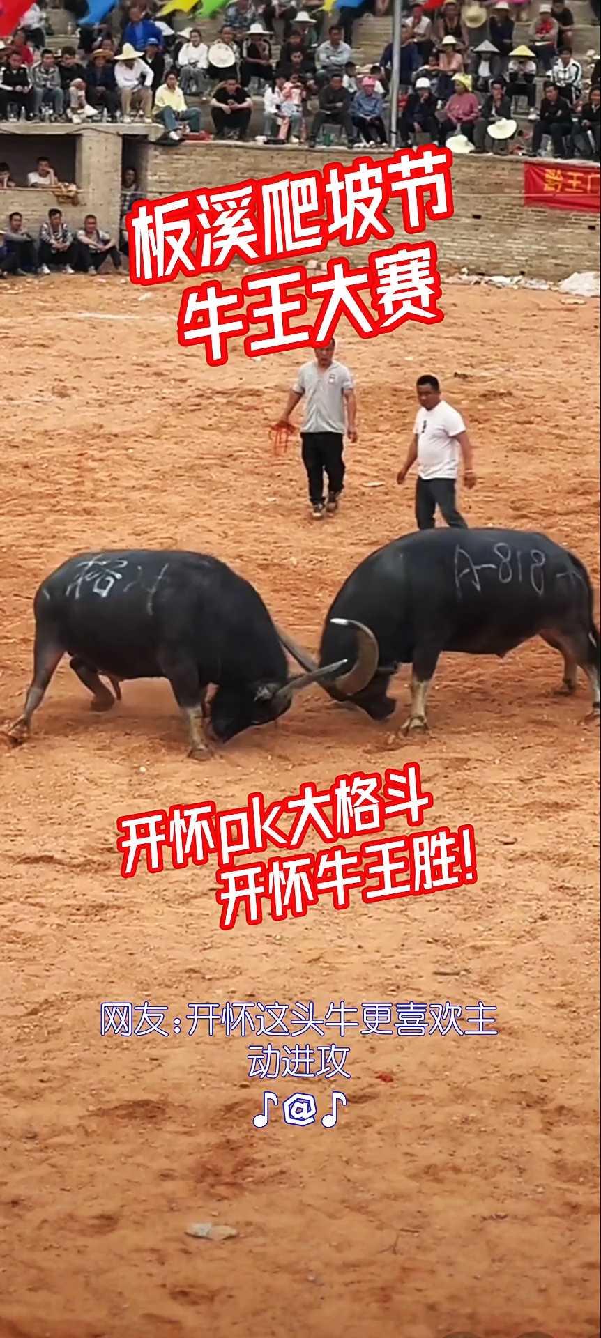 公牛惊险取胜老鹰,追平东部前列的简单介绍 公牛惊险取胜老鹰,追平东部前列的简单介绍