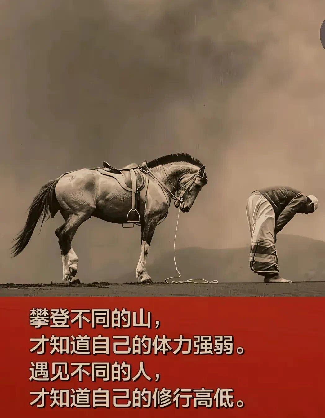 公牛惊险取胜老鹰,追平东部前列的简单介绍 公牛惊险取胜老鹰,追平东部前列的简单介绍