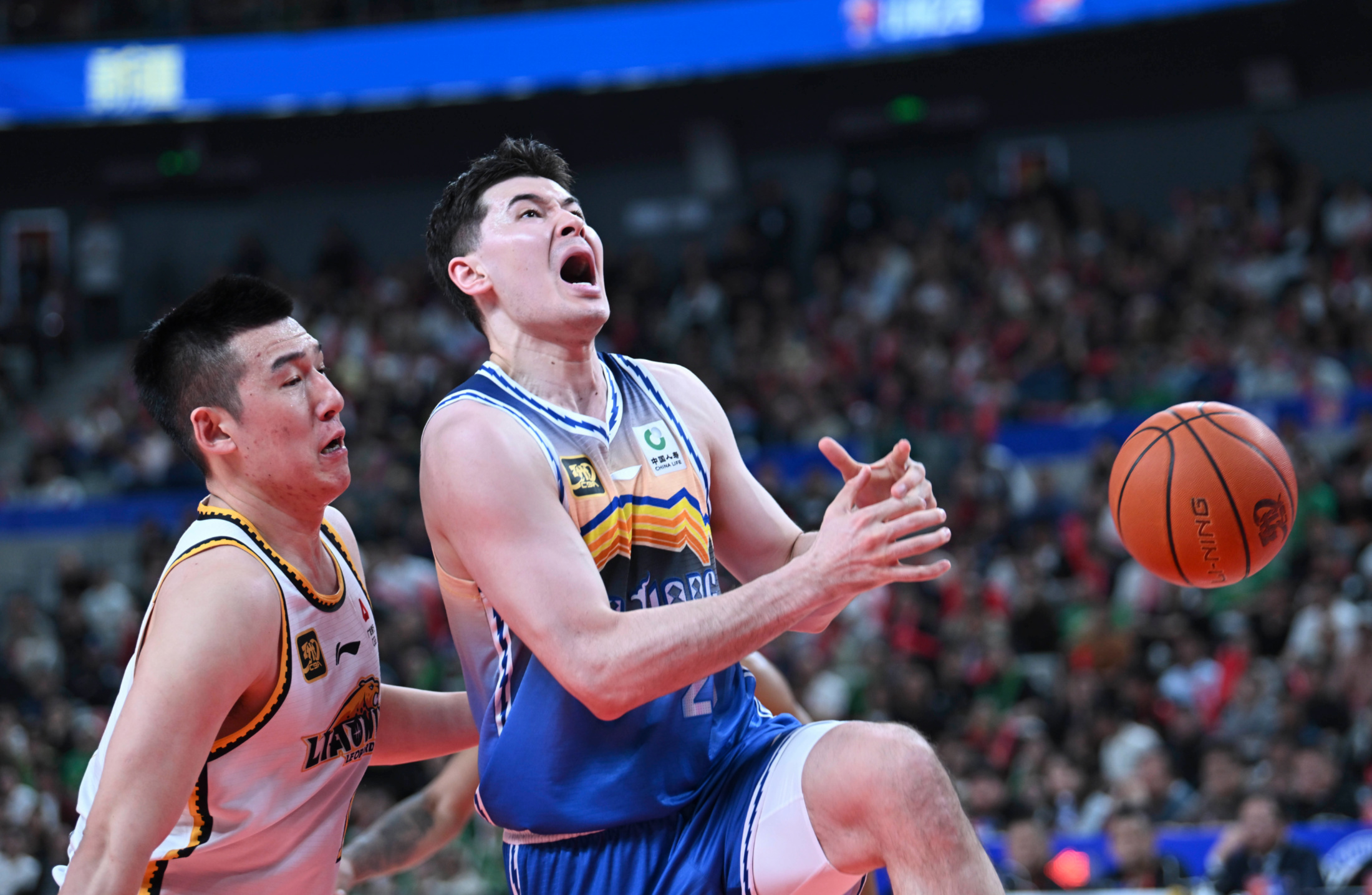 凯尔特人险胜辽宁队,张镇麟扛起全队 凯尔特人险胜辽宁队,张镇麟扛起全队