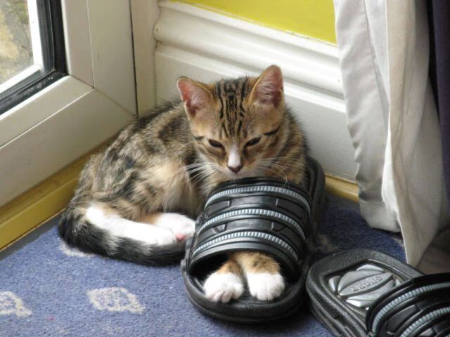 从威斯特法伦到麦迪逊,同夜双战场,共谱唯一性史诗