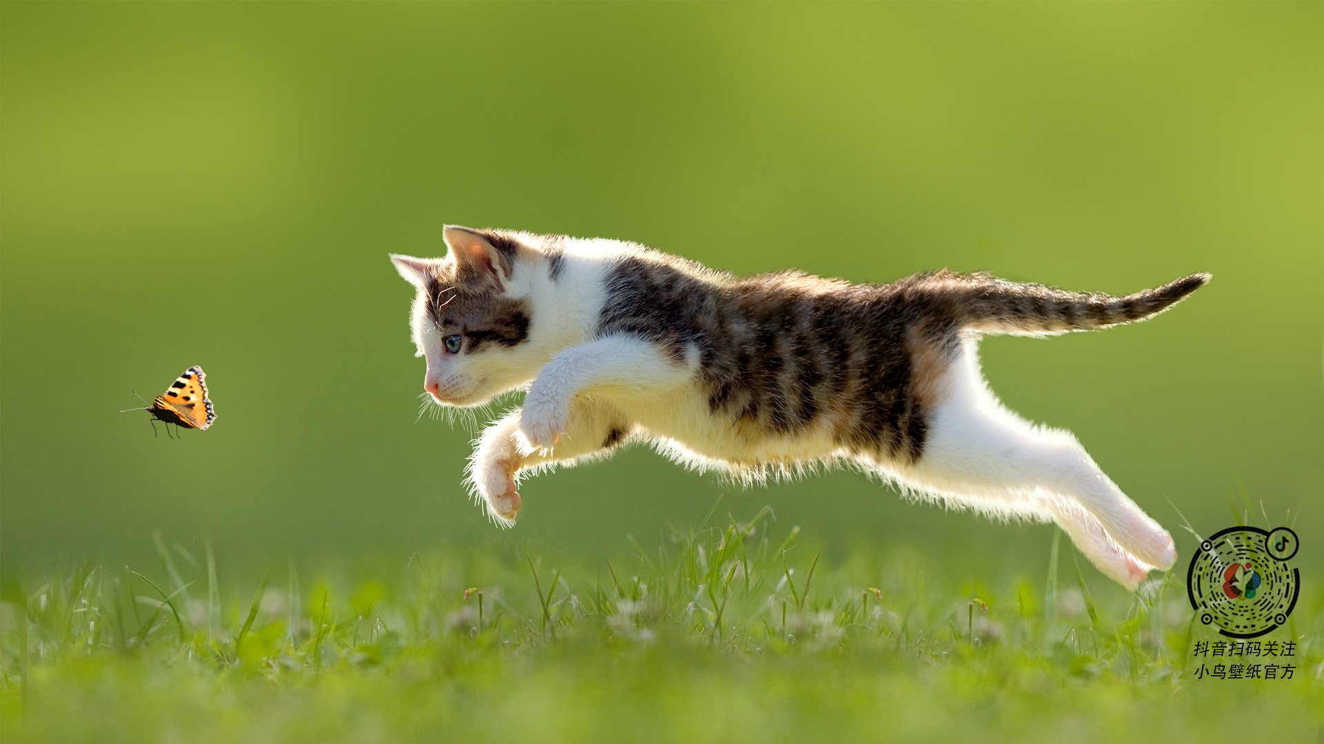 足球世界的不可能定理,当伊拉克的骆驼刺穿喀麦隆的雄狮,阿坎吉在慕尼黑的禁区里建立秩序