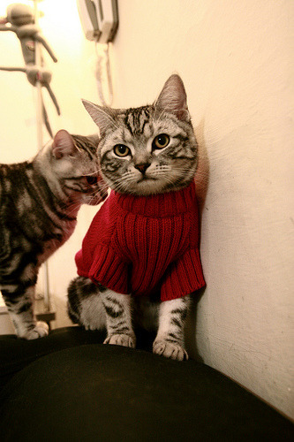 39岁詹皇降维打击创史诗之夜,鹈鹕20分逆转暗藏NBA残酷法则