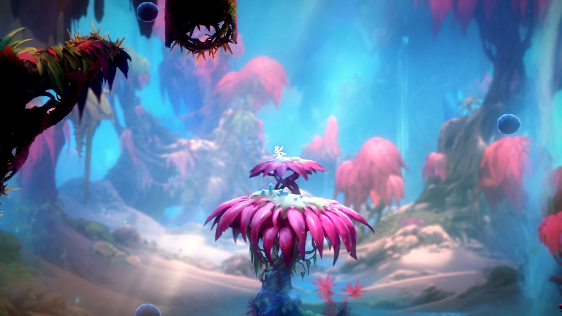 横跨两大洲的体育之夜，雷霆提前终结悬念，马克西在意甲接管比赛