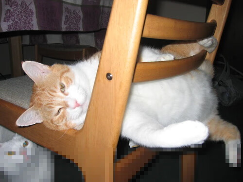 不是拉齐奥太弱，而是奥地利太狂！阿尔瓦雷斯四两拨千斤诠释大场面先生