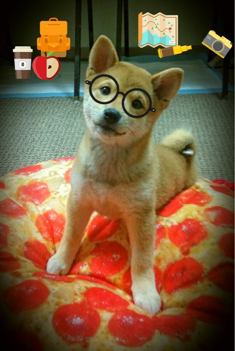 手术刀与指南针，当土耳其的精密切割遇上格列兹曼的战场证明