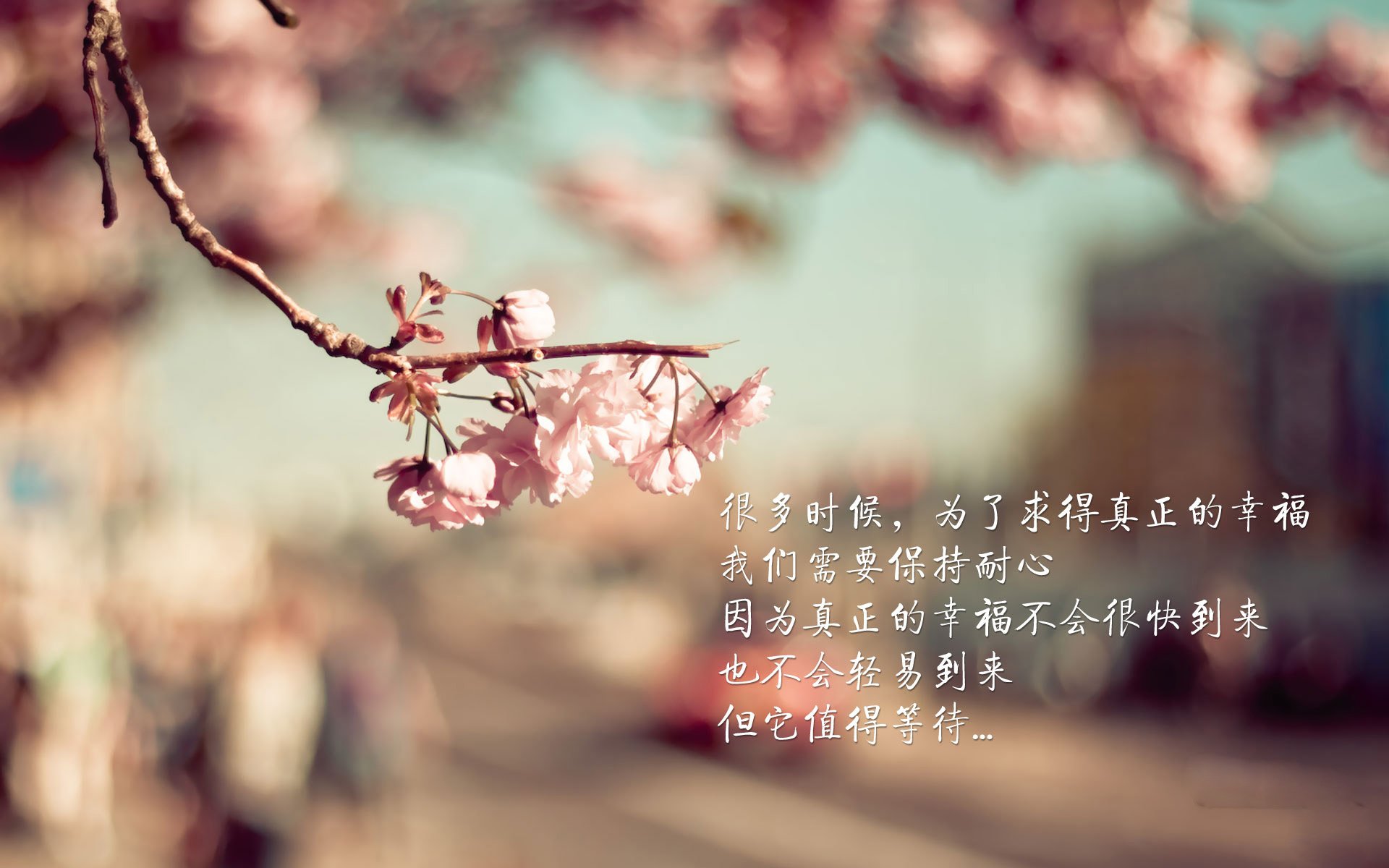 上海弄堂的轰鸣，对阵鹈鹕主场，今夜，大场面只属于莫兰特