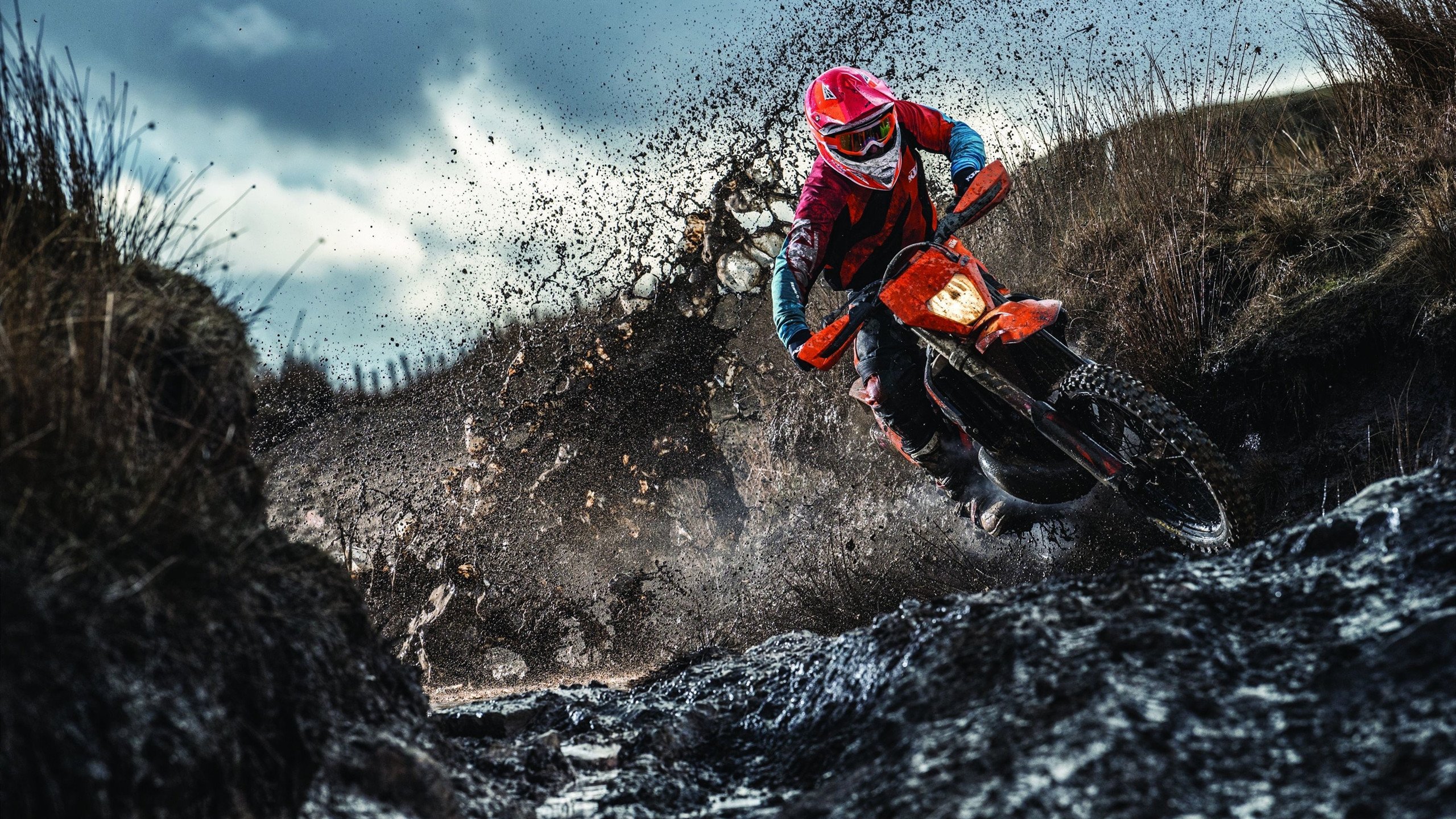 欧冠跨界战场，辽宁男篮淬火之夜