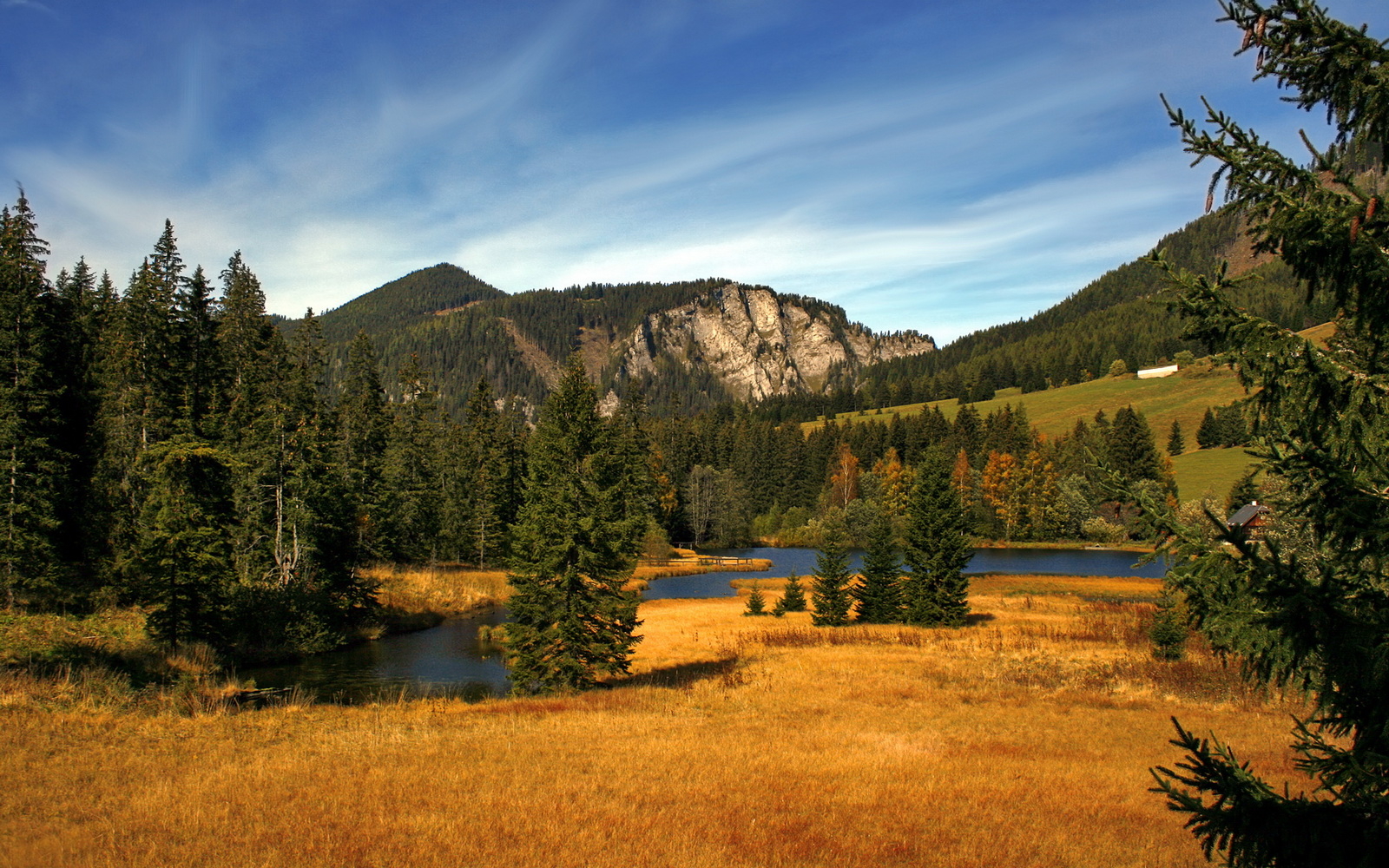 巨人之肩与精密齿轮，当努涅斯个人英雄主义照亮土耳其的团队胜利