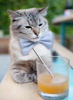 同一天空下，从贝林厄姆到拉齐奥，足球多元宇宙中的唯一性解